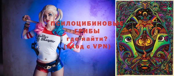 PSILOCYBIN Балабаново