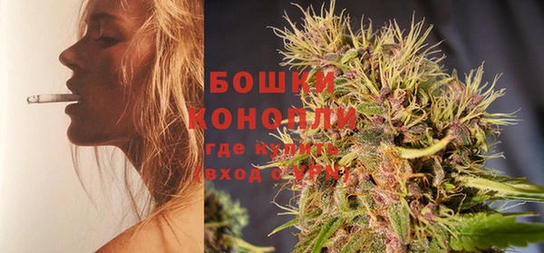 PSILOCYBIN Балабаново