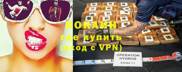 PSILOCYBIN Балабаново