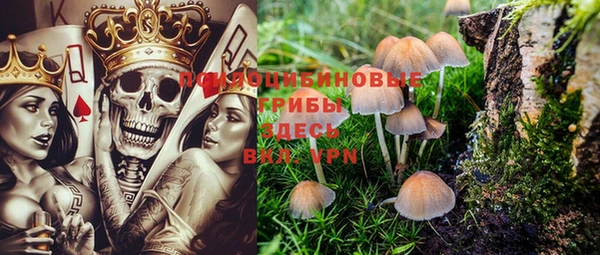 PSILOCYBIN Балабаново