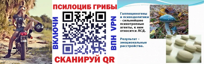 где найти наркотики Энем Псилоцибиновые грибы мухоморы